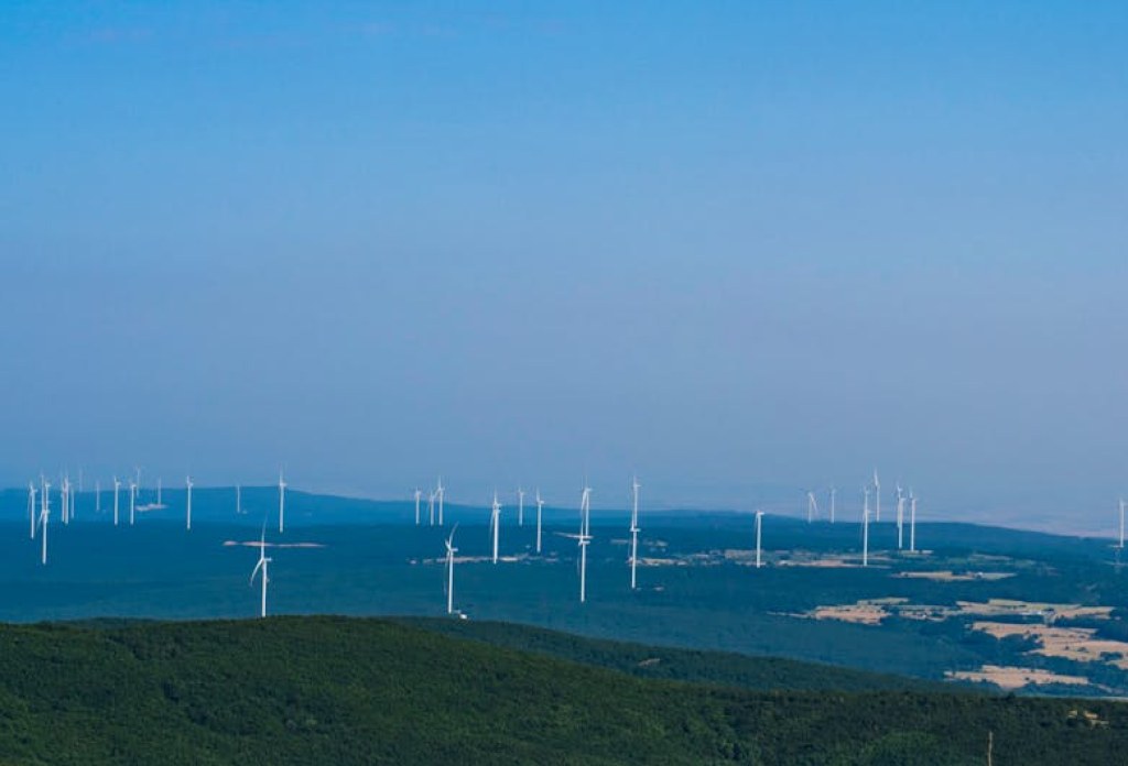 wind farm