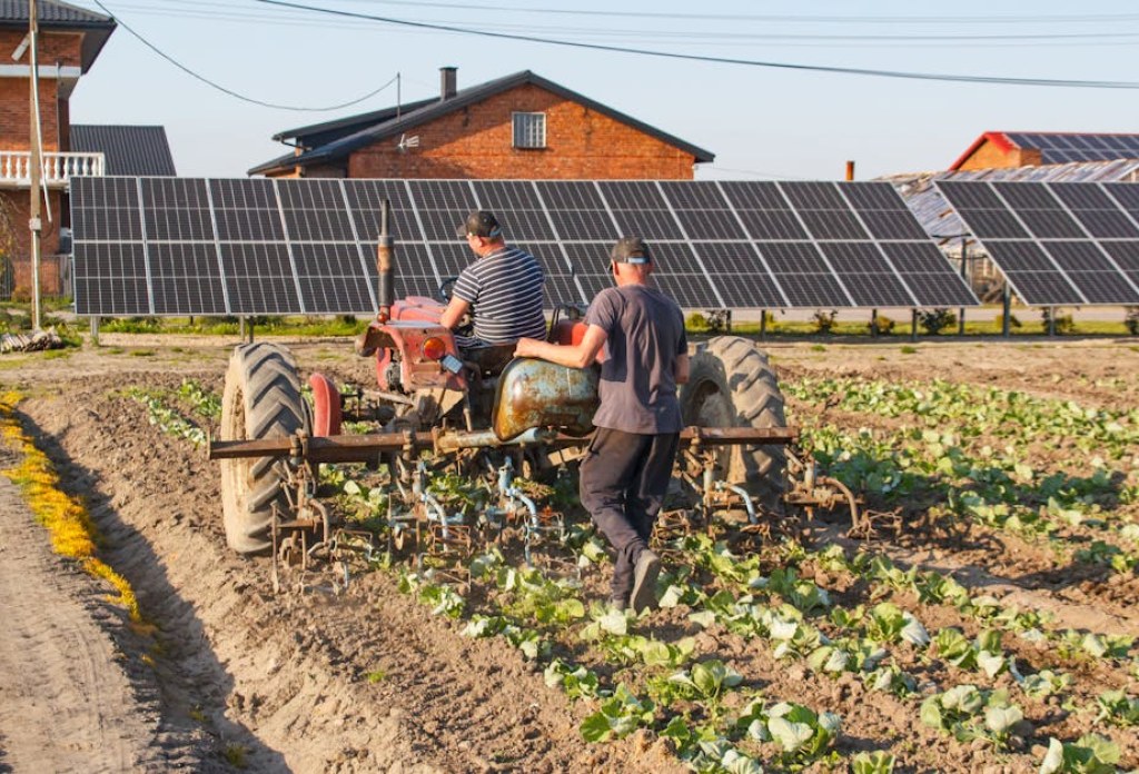 solar farm Poland