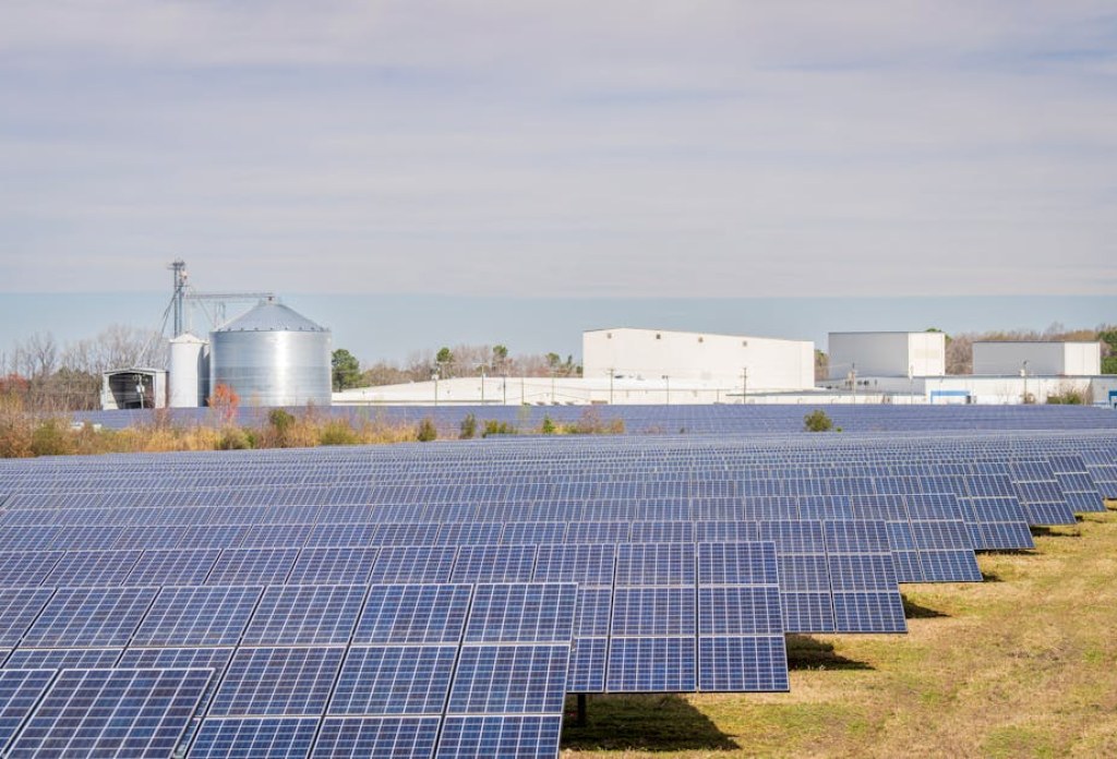solar panels field