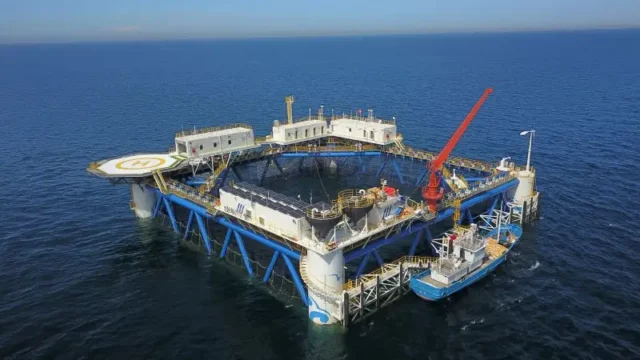 Chińska stocznia testuje pływającą platformę PV z bambusa