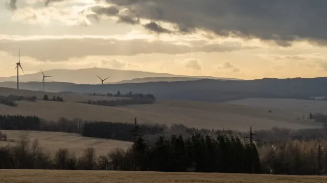 Rekompensaty dla wiatraków za redukcje w sierpniu 2026 – komunikat PSE