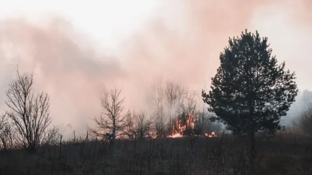 Zmiany klimatu zwiększą ryzyko pożarów lasów w Europie