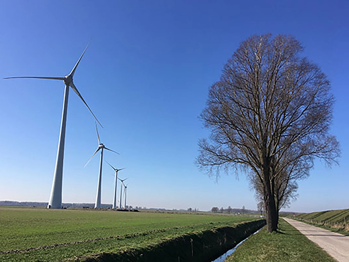 Hiszpania przegrywa dziewiąty arbitraż w USA. Toyota żąda 110 mln euro za cięcia w OZE