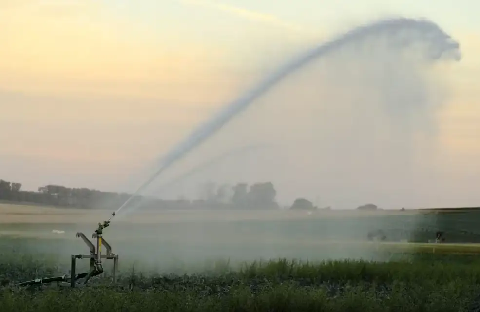Rolnicy mogą produkować więcej własnej energii niż kiedykolwiek – czy to wykorzystają?