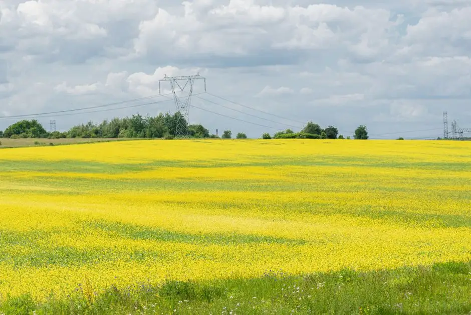PSE stawiają na krajowych producentów przewodów fazowych
