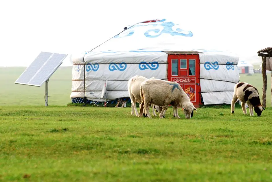 Satelity pomogą zarządzać farmą solarną i hodowlą owiec w Australii
