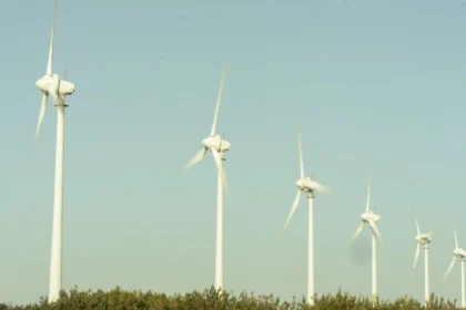 WindEurope dołącza do Koalicji na rzecz Alfabetyzacji: walka z dezinformacją o energetyce wiatrowej