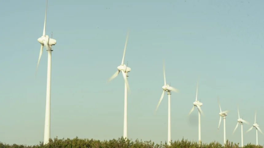 WindEurope dołącza do Koalicji na rzecz Alfabetyzacji: walka z dezinformacją o energetyce wiatrowej