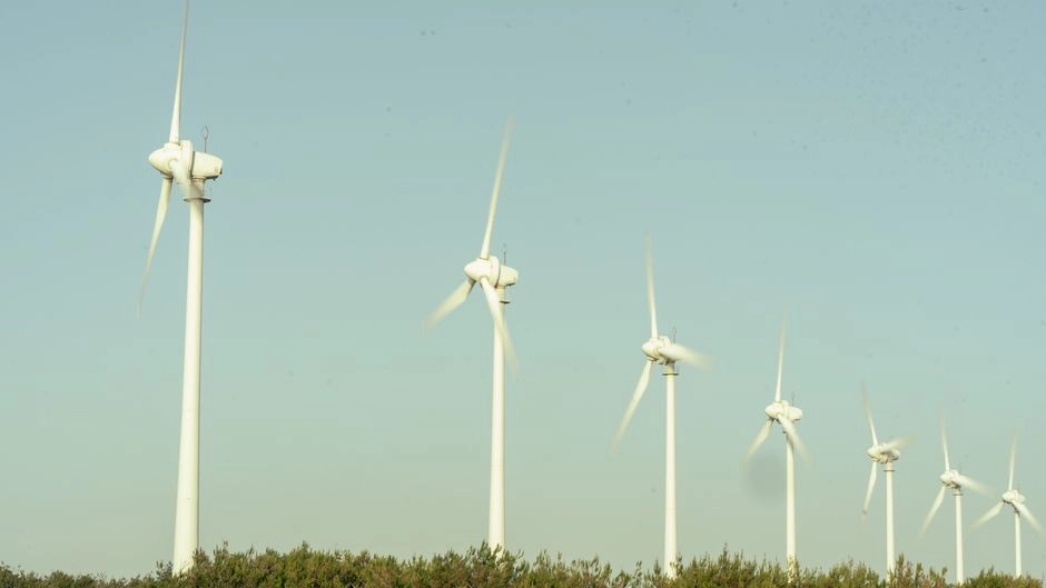 WindEurope dołącza do Koalicji na rzecz Alfabetyzacji: walka z dezinformacją o energetyce wiatrowej