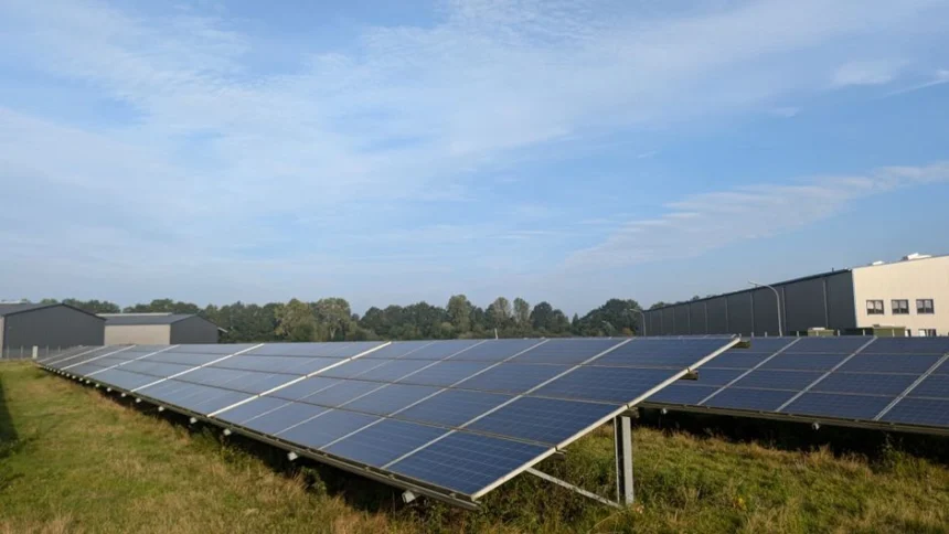 Niemcy biją rekord fotowoltaiki. Solar Day 2026 już 27 września