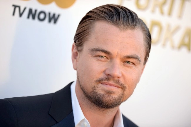 Leonardo DiCaprio inwestuje w szwedzki start-up Elvy – energia dla domów w abonamencie