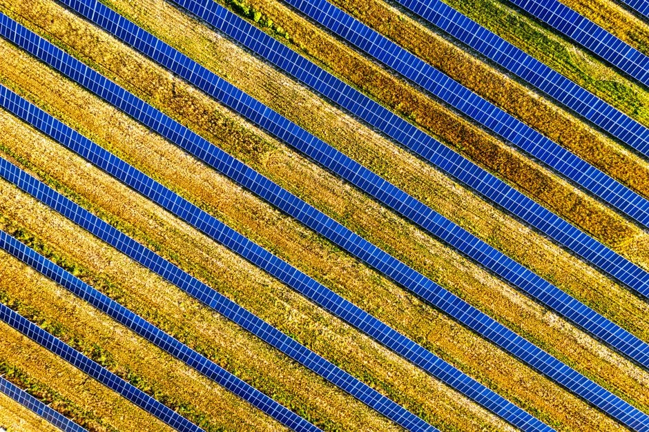 Sonntag Energy buduje pierwszą w Europie Agri-PV nad truskawkami